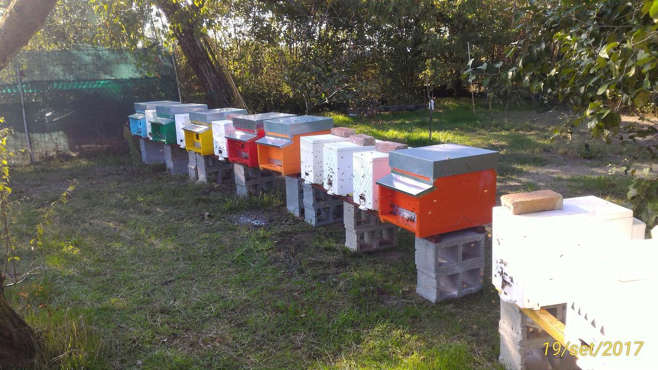 L'Ape In Corte Casa Di Campagna, Via Francigena Stanze E Colazione Vaccarizza Bagian luar foto