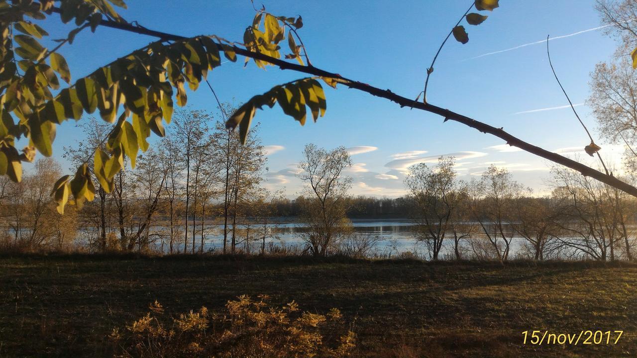L'Ape In Corte Casa Di Campagna, Via Francigena Stanze E Colazione Vaccarizza Bagian luar foto