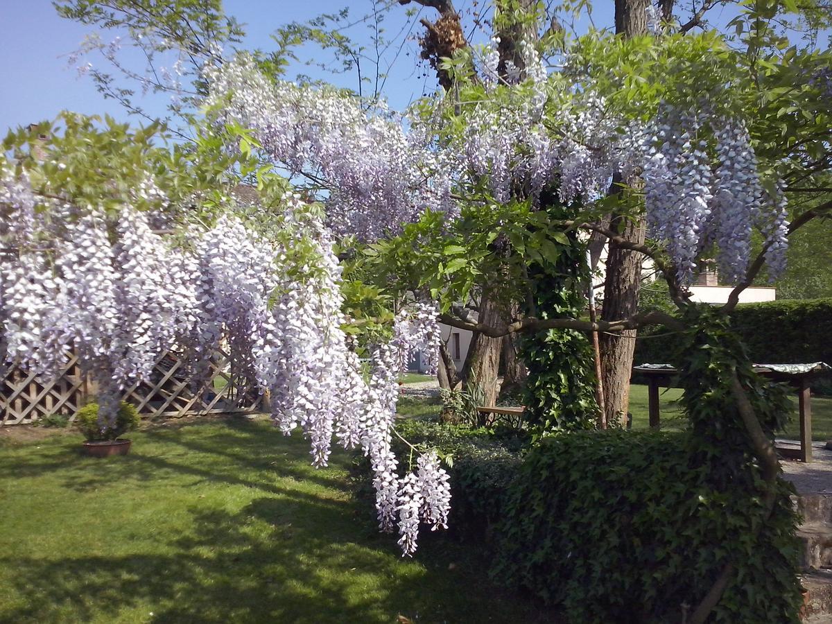 L'Ape In Corte Casa Di Campagna, Via Francigena Stanze E Colazione Vaccarizza Bagian luar foto