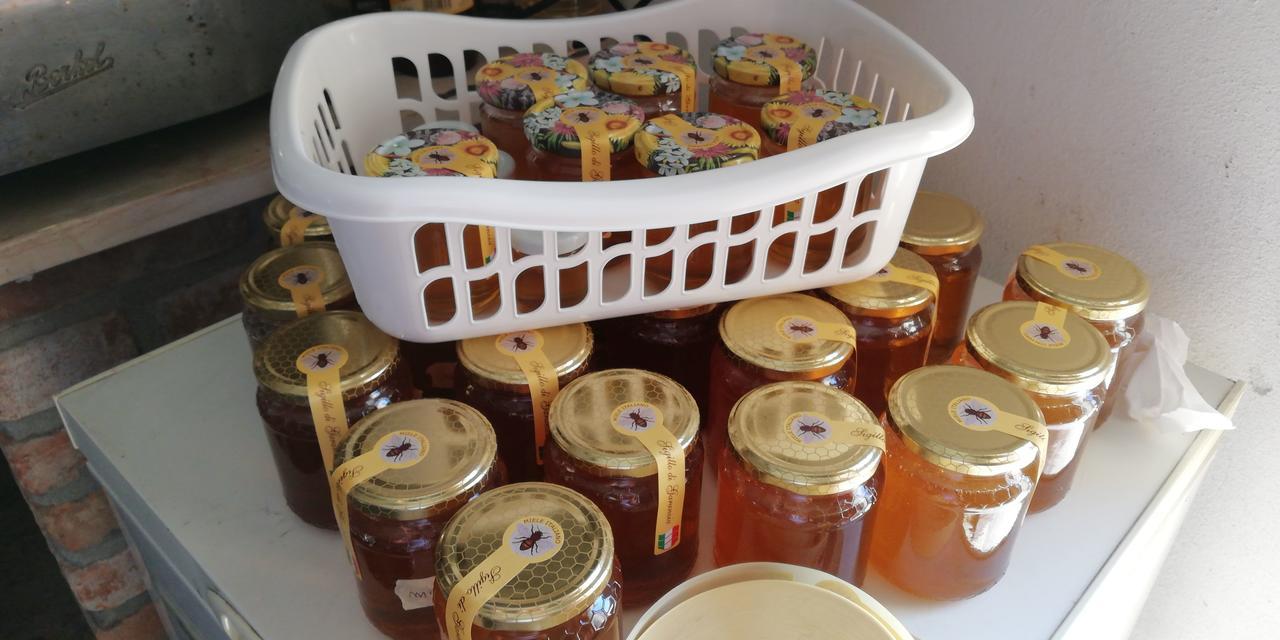 L'Ape In Corte Casa Di Campagna, Via Francigena Stanze E Colazione Vaccarizza Bagian luar foto
